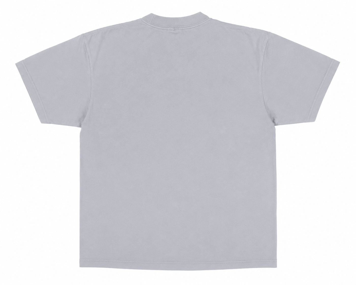 GENTLENESS - GREY T SHIRT