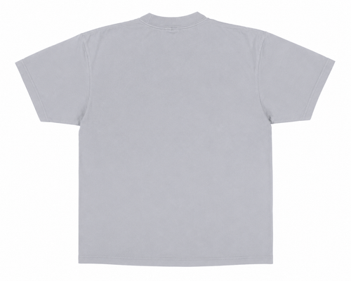 GENTLENESS - GREY T SHIRT